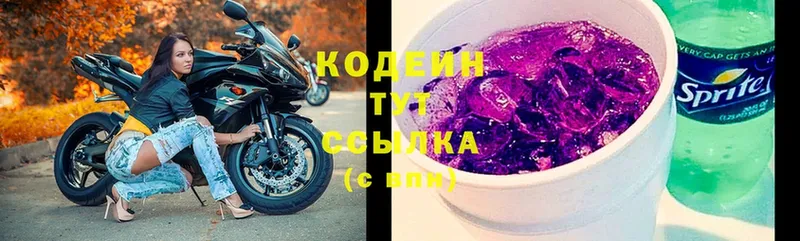 где купить   Котлас  Кодеин Purple Drank 